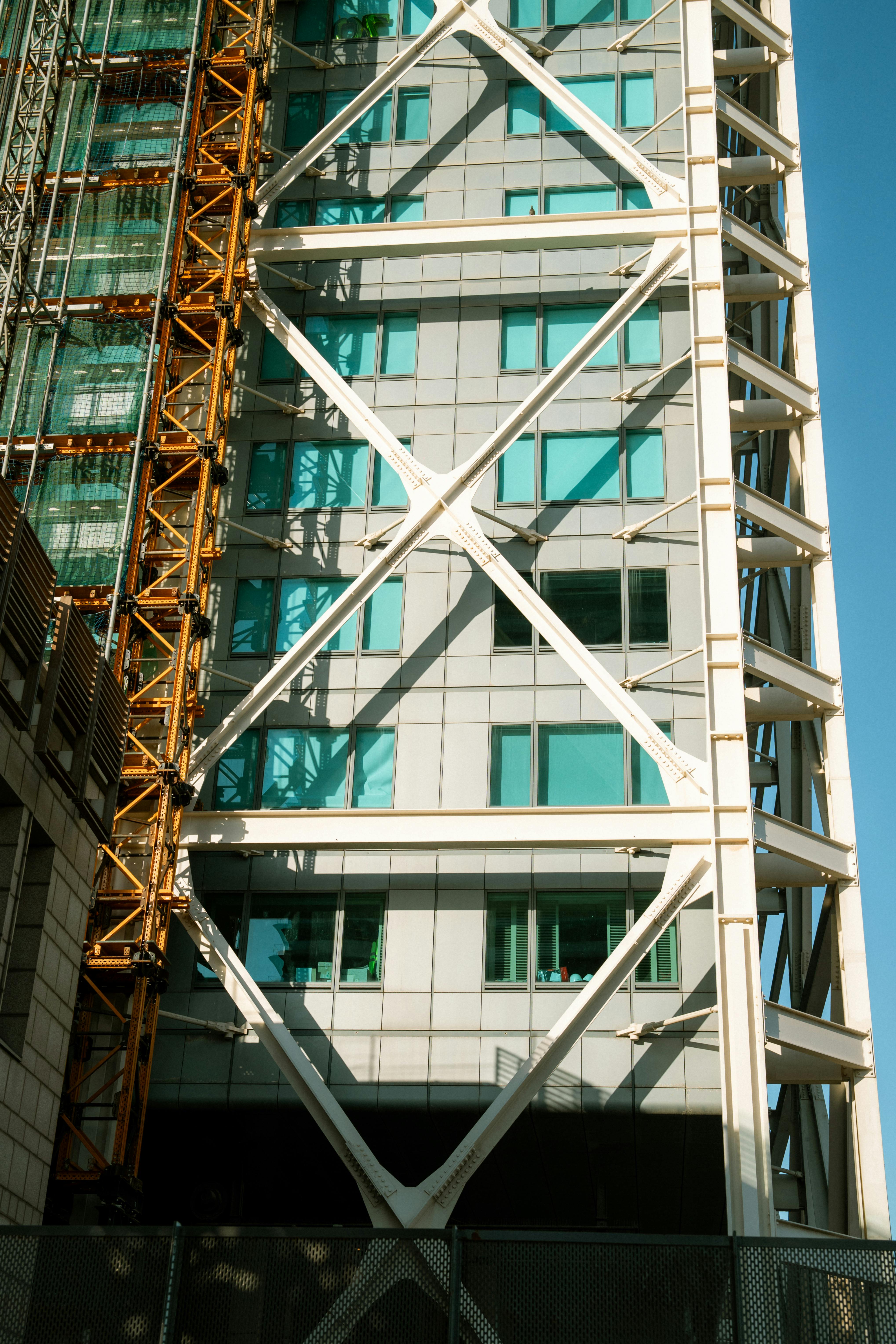 pexels-nolandlive-32145287